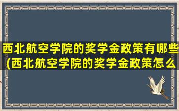 西北航空学院的奖学金政策有哪些(西北航空学院的奖学金政策怎么样)