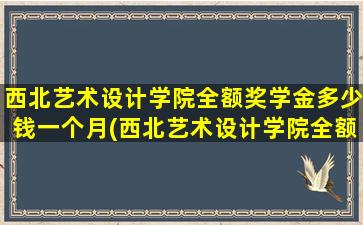 西北艺术设计学院全额奖学金多少钱一个月(西北艺术设计学院全额奖学金多少钱啊)