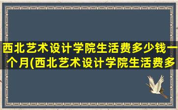 西北艺术设计学院生活费多少钱一个月(西北艺术设计学院生活费多少钱一年)