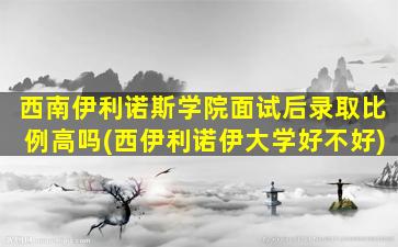 西南伊利诺斯学院面试后录取比例高吗(西伊利诺伊大学好不好)