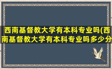 西南基督教大学有本科专业吗(西南基督教大学有本科专业吗多少分)