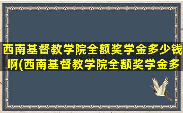 西南基督教学院全额奖学金多少钱啊(西南基督教学院全额奖学金多少钱一个月)