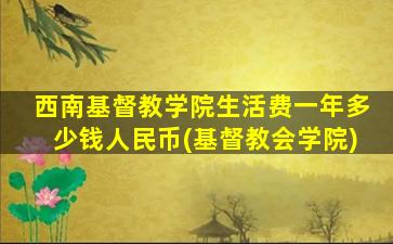 西南基督教学院生活费一年多少钱人民币(基督教会学院)