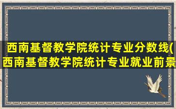 西南基督教学院统计专业分数线(西南基督教学院统计专业就业前景)