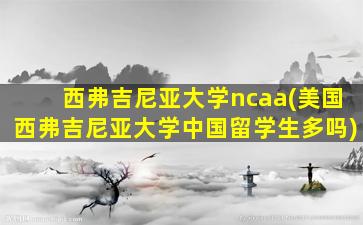 西弗吉尼亚大学ncaa(美国西弗吉尼亚大学中国留学生多吗)