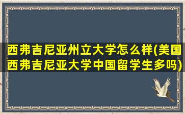 西弗吉尼亚州立大学怎么样(美国西弗吉尼亚大学中国留学生多吗)