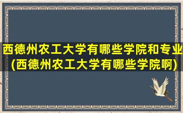 西德州农工大学有哪些学院和专业(西德州农工大学有哪些学院啊)