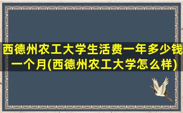 西德州农工大学生活费一年多少钱一个月(西德州农工大学怎么样)