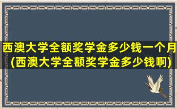 西澳大学全额奖学金多少钱一个月(西澳大学全额奖学金多少钱啊)