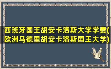 西班牙国王胡安卡洛斯大学学费(欧洲马德里胡安卡洛斯国王大学)