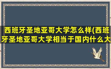 西班牙圣地亚哥大学怎么样(西班牙圣地亚哥大学相当于国内什么大学)