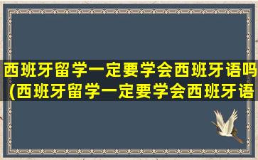 西班牙留学一定要学会西班牙语吗(西班牙留学一定要学会西班牙语吗英语)