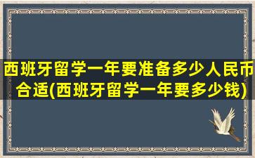 西班牙留学一年要准备多少人民币合适(西班牙留学一年要多少钱)