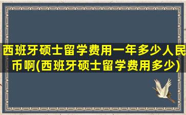 西班牙硕士留学费用一年多少人民币啊(西班牙硕士留学费用多少)