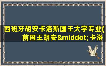 西班牙胡安卡洛斯国王大学专业(前国王胡安·卡洛斯一世)