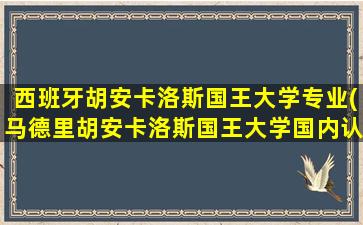 西班牙胡安卡洛斯国王大学专业(马德里胡安卡洛斯国王大学国内认可吗)