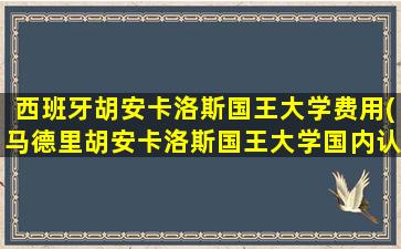 西班牙胡安卡洛斯国王大学费用(马德里胡安卡洛斯国王大学国内认可吗)