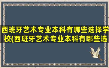 西班牙艺术专业本科有哪些选择学校(西班牙艺术专业本科有哪些选择要求)