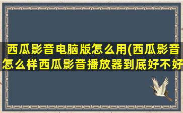 西瓜影音电脑版怎么用(西瓜影音怎么样西瓜影音播放器到底好不好)