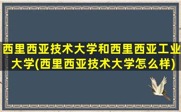 西里西亚技术大学和西里西亚工业大学(西里西亚技术大学怎么样)