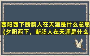 西阳西下断肠人在天涯是什么意思(夕阳西下，断肠人在天涯是什么意思)