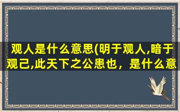 观人是什么意思(明于观人,暗于观己,此天下之公患也，是什么意思)