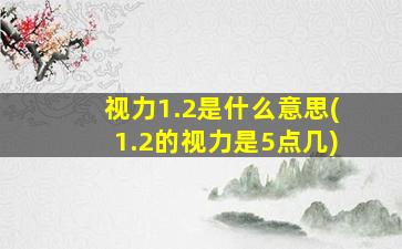 视力1.2是什么意思(1.2的视力是5点几)