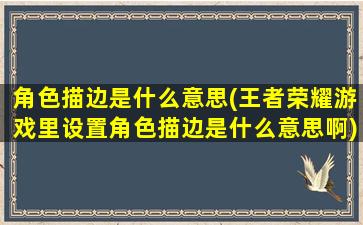 角色描边是什么意思(王者荣耀游戏里设置角色描边是什么意思啊)