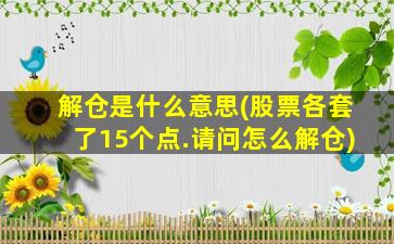 解仓是什么意思(股票各套了15个点.请问怎么解仓)