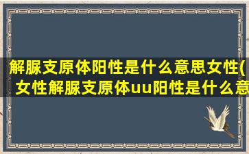 解脲支原体阳性是什么意思女性(女性解脲支原体uu阳性是什么意思)