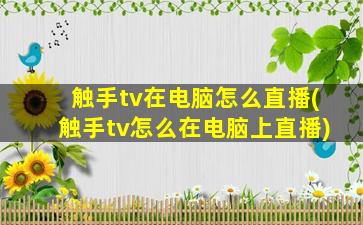 触手tv在电脑怎么直播(触手tv怎么在电脑上直播)