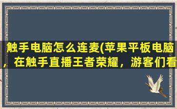 触手电脑怎么连麦(苹果平板电脑，在触手直播王者荣耀，游客们看直播中间是游戏，俩边是黑边，怎么弄)