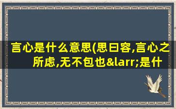 言心是什么意思(思曰容,言心之所虑,无不包也←是什么意思)