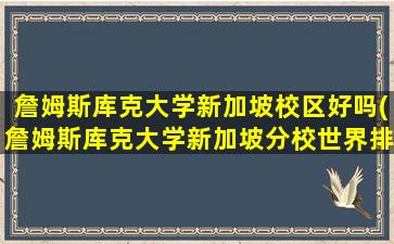 詹姆斯库克大学新加坡校区好吗(詹姆斯库克大学新加坡分校世界排名怎么样)