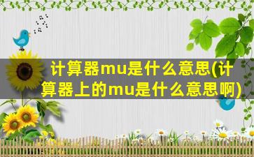 计算器mu是什么意思(计算器上的mu是什么意思啊)