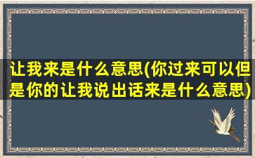 让我来是什么意思(你过来可以但是你的让我说出话来是什么意思)