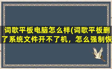 词歌平板电脑怎么样(词歌平板删了系统文件开不了机，怎么强制恢复出厂设置)