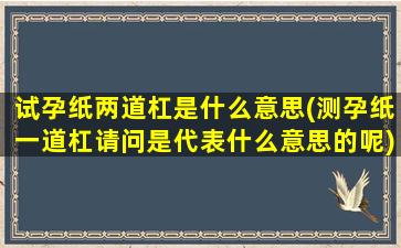 试孕纸两道杠是什么意思(测孕纸一道杠请问是代表什么意思的呢)