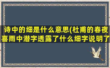 诗中的细是什么意思(杜甫的春夜喜雨中潜字透露了什么细字说明了什么)