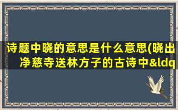 诗题中晓的意思是什么意思(晓出净慈寺送林方子的古诗中“晓”是什么意思)