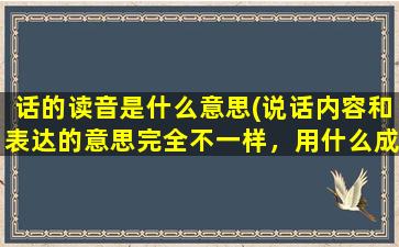 话的读音是什么意思(说话内容和表达的意思完全不一样，用什么成语形容)