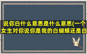 说你白什么意思是什么意思(一个女生对你说你是我的白蝴蝶还是白纸片是什么意思)