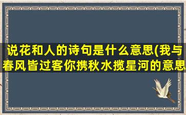 说花和人的诗句是什么意思(我与春风皆过客你携秋水揽星河的意思)