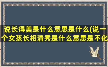 说长得美是什么意思是什么(说一个女孩长相清秀是什么意思是不化妆的意思吗)