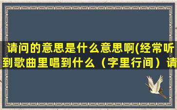 请问的意思是什么意思啊(经常听到歌曲里唱到什么（字里行间）请问是什么意思啊)