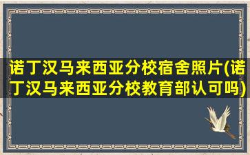 诺丁汉马来西亚分校宿舍照片(诺丁汉马来西亚分校教育部认可吗)