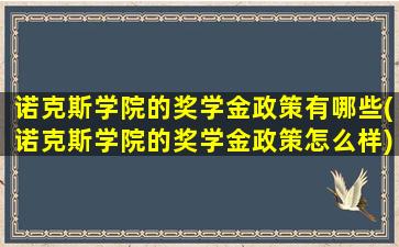 诺克斯学院的奖学金政策有哪些(诺克斯学院的奖学金政策怎么样)