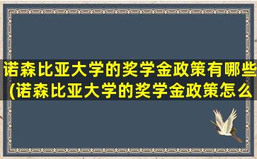 诺森比亚大学的奖学金政策有哪些(诺森比亚大学的奖学金政策怎么样)