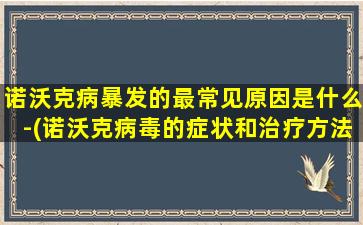 诺沃克病暴发的最常见原因是什么-(诺沃克病毒的症状和治疗方法)