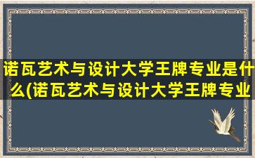 诺瓦艺术与设计大学王牌专业是什么(诺瓦艺术与设计大学王牌专业有哪些)